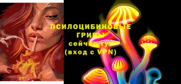 apvp Осташков