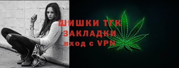 хмурый Осинники