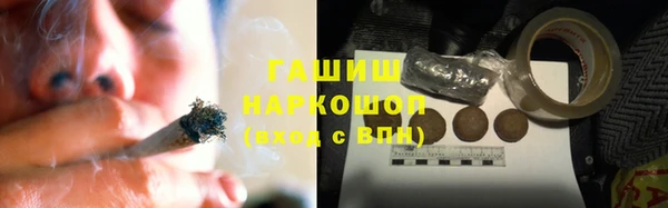 хмурый Осинники