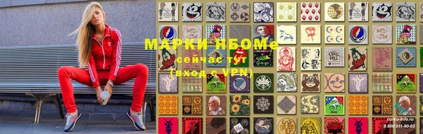 хмурый Осинники