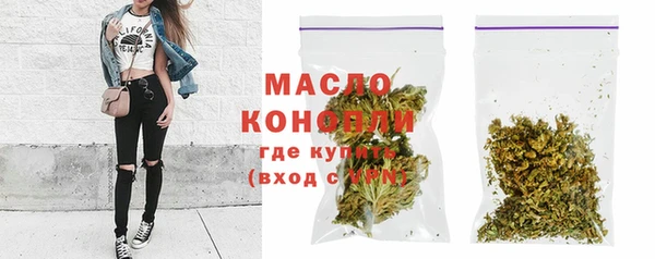 хмурый Осинники
