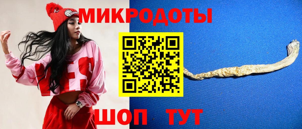 Котлас  Галлюциногенные грибы MAGIC MUSHROOMS  как найти наркотики  Галлюциногенные грибы мухоморы  Вход с VPN 