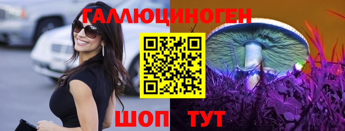 Псилоцибиновые грибы мицелий Котлас