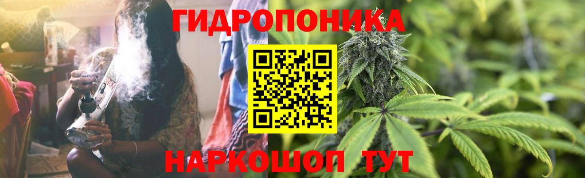 Бошки Шишки индика Котлас